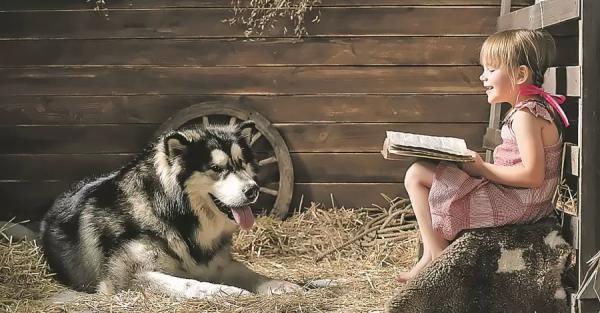 Финских детей учат читать собаки - Общество
