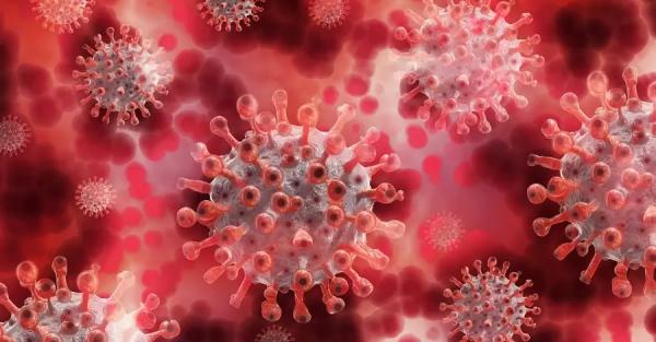 ВОЗ назвала новый штамм коронавируса греческой буквой омикрон - Коронавирус