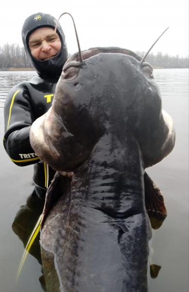 В Днепре на рыбака напал 50 килограммовый сом-людоед - Общество