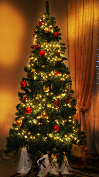 Украшаем елку к Новому году: пять необходимых элементов - Общество