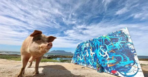 Картину свиньи-художницы продали за 26 тысяч долларов. Животное спасли от забоя в 2016 году - Общество