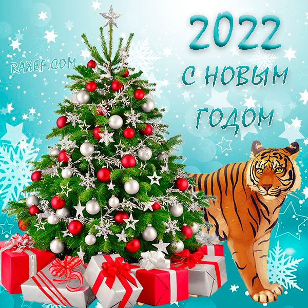 Короткие поздравления с Новым годом 2022 - Общество