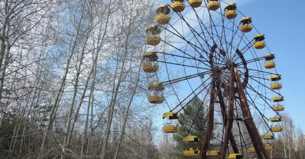 В Чернобыльской зоне впервые заметили рогатого жаворонка. Но у него нет рогов, это такой вид - Общество