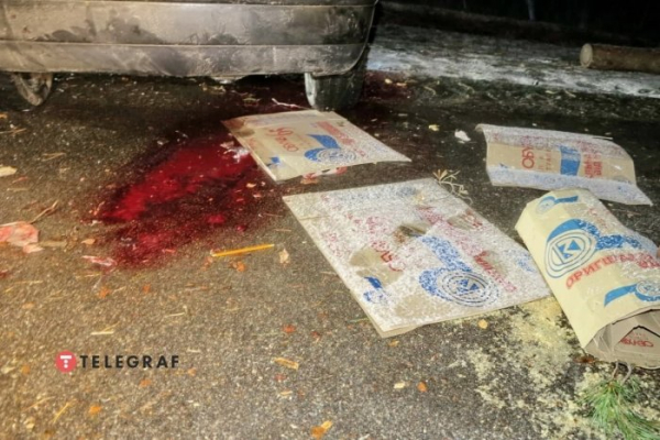 Под Киевом дерево упало на авто и вызвало ДТП: у пострадавшего оторвало ногу