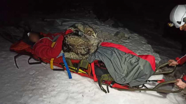Спас жизнь: пес 13 часов грел в горах травмированного альпиниста