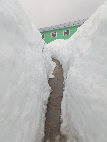 Украинские полярники показали, как откапывают "Академика Вернадского" после рекордного снегопада - Общество