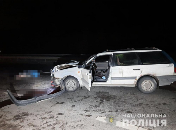 У селі на Житомирщині «Volkswagen Passat» на смерть збив жінку. ФОТО | Криминальные новости