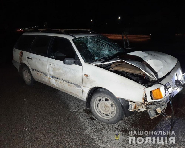 У селі на Житомирщині «Volkswagen Passat» на смерть збив жінку. ФОТО | Криминальные новости