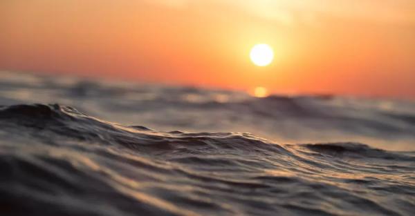 Экологи рассказали, как изменилось Черное море за последние 30 лет - Общество