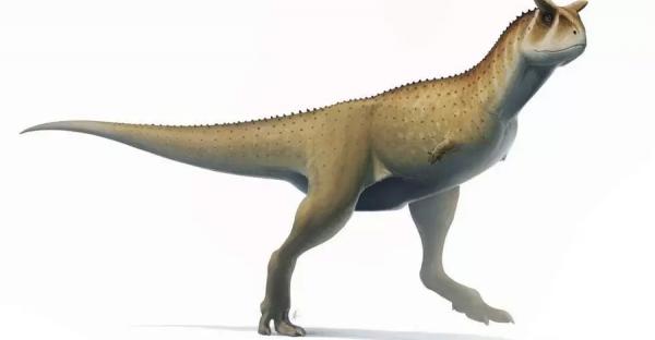 В Аргентине впервые обнаружены останки гигантского безрукого динозавра - Общество