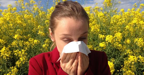 Сезон аллергии: стресс усиливает неприятные симптомы - Общество