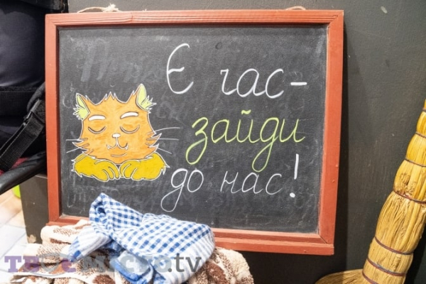 Переселенцы из-под Киева: Нашу точку с кофе во Львове сделал популярной пропавший кот - Общество
