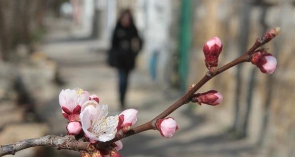 Прогноз погоды в Украине на выходные 16-17 апреля - от заморозков до +21 градуса - Общество
