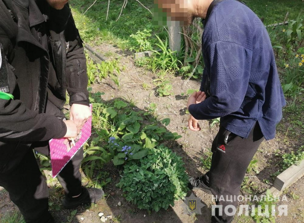 Поліцейські затримали двох наркодилерів у Новограді-Волинському та Житомирі. ФОТО | Криминальные новости