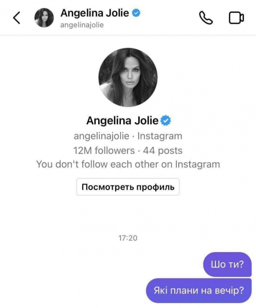 Визит Анджелины Джоли во Львов вызвал волну мемов