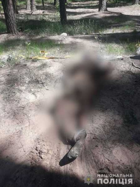 На Київщині знайдено тіло ще одного закатованого рашистами мирного жителя | Криминальные новости