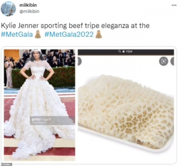 Наряд Кайли Дженнер на Met Gala-2022 стал причиной фотожаб