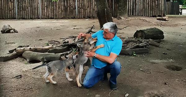 Директор Одесского зоопарка: Наши животные не знают о войне, даже сирен не боятся  - Общество
