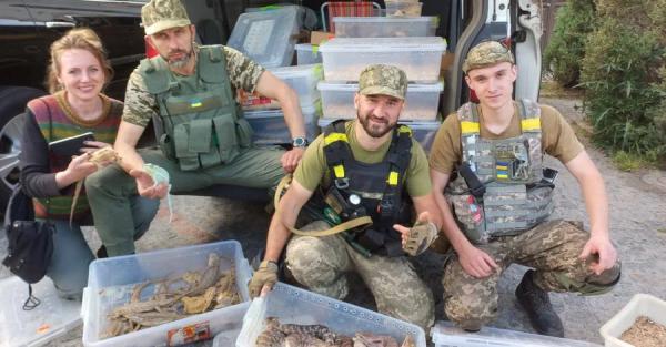 Уникальная эвакуация: военные два дня вывозили из-под обстрелов сотни ящериц - Общество