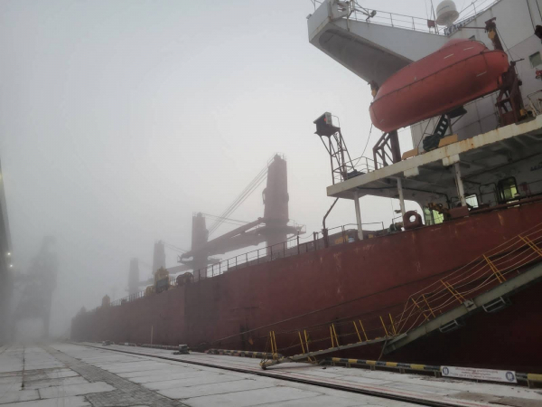 Из украинских портов вышли сразу шесть судов с зерном - Общество
