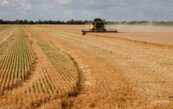 Украина намолотила более 30 млн тонн зерна