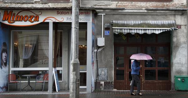 Украинские переселенцы в Польше: какой бизнес открывают и что приносит доход - Общество