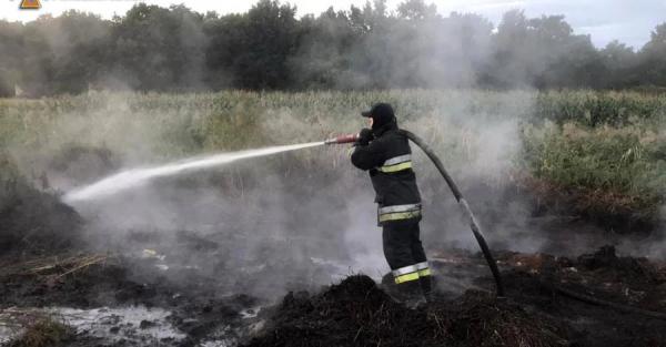 Киев снова накрыл едкий дым  - Общество