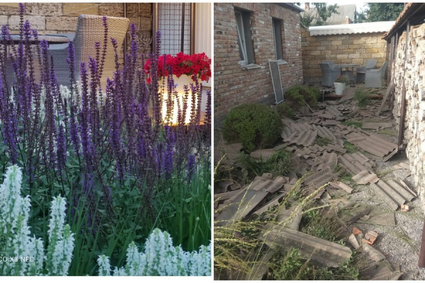 Розстріляна краса: у Нікополі російські снаряди знищили сад «Птахи і хліб»