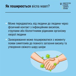 В МОЗ разъяснили украинцам, как обезопасить себя от оспы обезьян - Общество