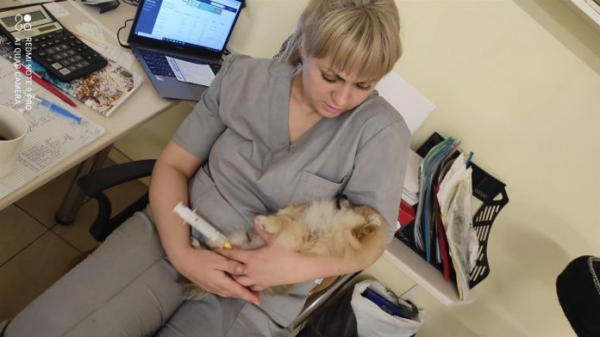 У ветеринарний кабінет “Центр” у Павлограді терміново потрібен ветлікар