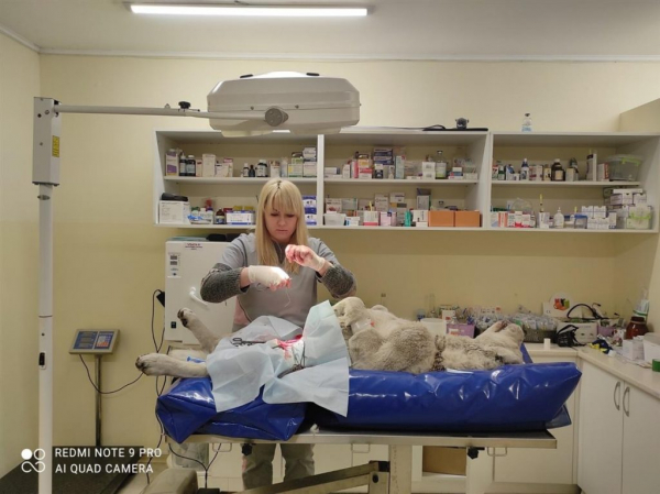 У ветеринарний кабінет “Центр” у Павлограді терміново потрібен ветлікар