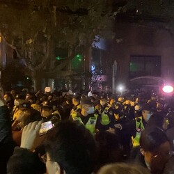 В Китае прошли массовые протесты против локдауна, введенного из-за коронавируса - Общество