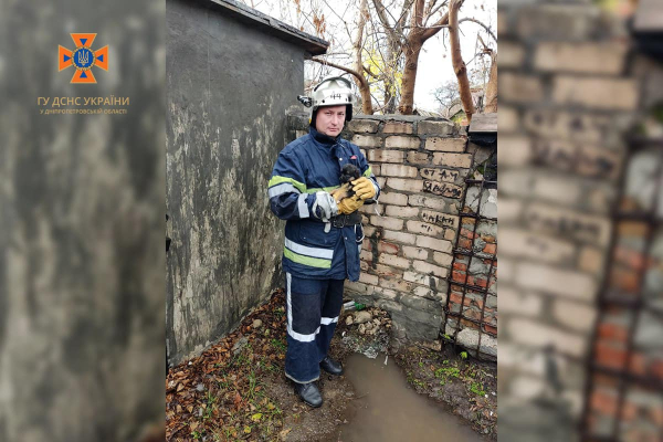 На Дніпропетровщині бійці ДСНС врятували з-під плити маленьке цуценя  | новини Дніпра