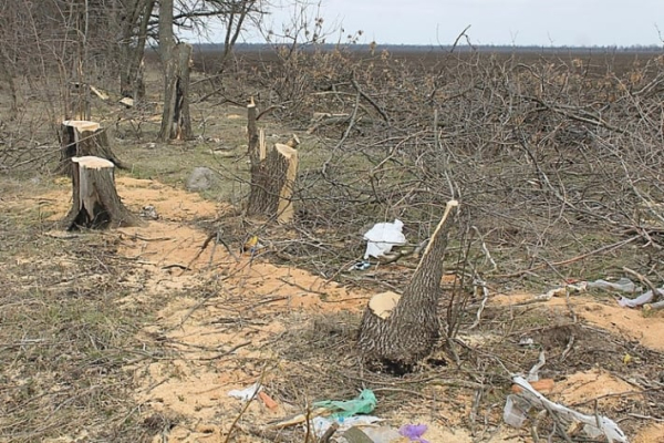 
Оккупанты уничтожают посадки в Мелитополе - Новости Мелитополя
