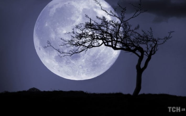 
Гороскоп на 14 декабря для всех знаков Зодиака: день мощной лунной энергетики - Новости Мелитополя
