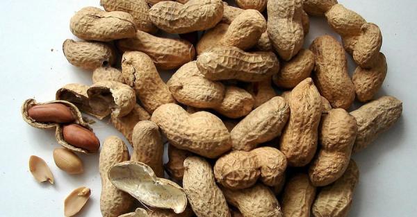Опасный для здоровья арахис попал в Украину - Общество
