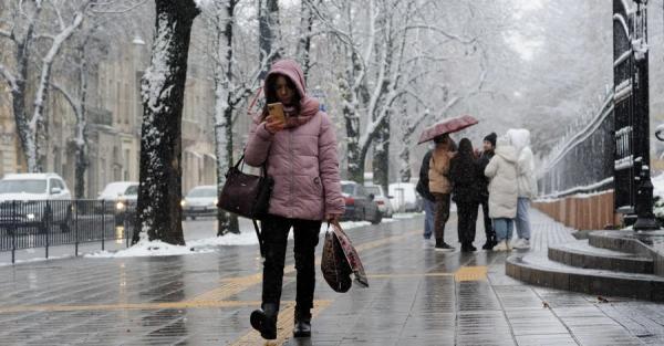 Синоптик Укргидрометцентра: Февраль будет теплым, но принесет дожди и мокрый снег - Общество