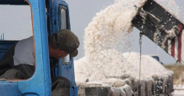 Жители Закарпатья: Если б не отключения света, мы бы уже добывали соль - Общество