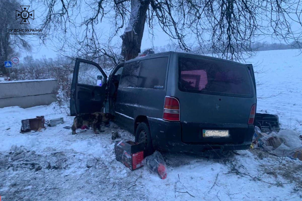 На Дніпропетровщині бусик летів у дерево, пораненого водія діставали пожежні | новини Дніпра