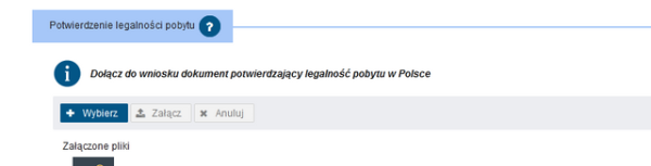   Як українцям у Польщі швидко подати онлайн-заяву ...
