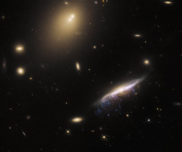 Телескоп Hubble сфотографировал необычную галактику в форме медузы - Общество