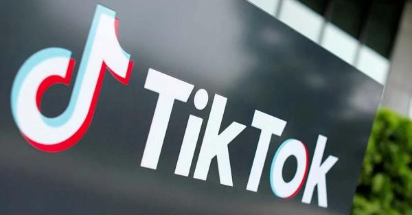 Британия вслед за США запретила чиновникам использовать TikTok - Общество