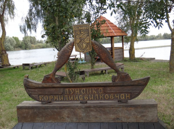 Рыбаки из Вилково: Право ловить селедку продают на аукционе – цена от 60 000 гривен    - Общество