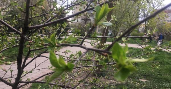 Погода в Украине 28 апреля: на западе заморозки, на востоке до 21° тепла - Общество