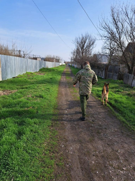 На Дніпропетровщині службовий пес розкрив жорстоке пограбування, підозрюваного затримано  | новини Дніпра