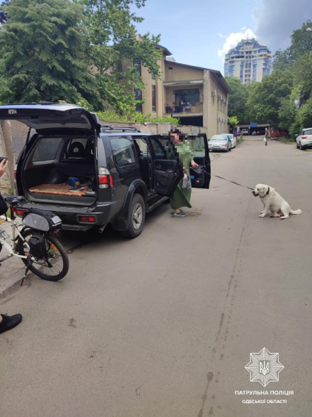 Одесские патрульные спасли собаку, которую хозяйка закрыла в автомобиле - Общество
