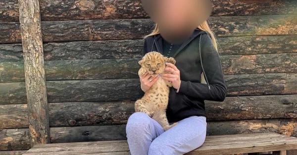 Зоозащитники обратились в полицию из-за фото львят в зверинце - Общество