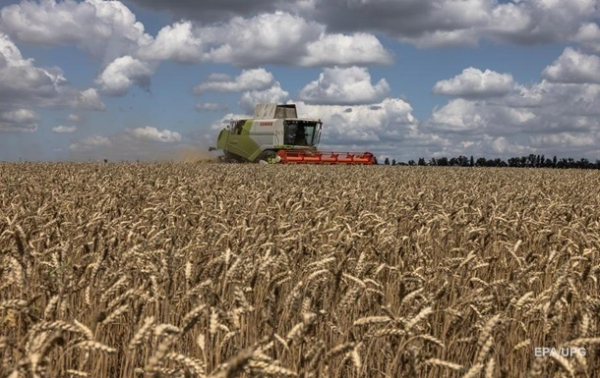 В Украине начали собирать урожай зерновых