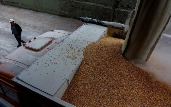 ЕС продлил ограничение экспорта зерна из Украины