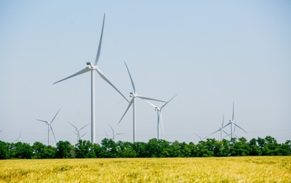 В Украине оценили возможность развития ветровой энергетики в условиях войныМнение